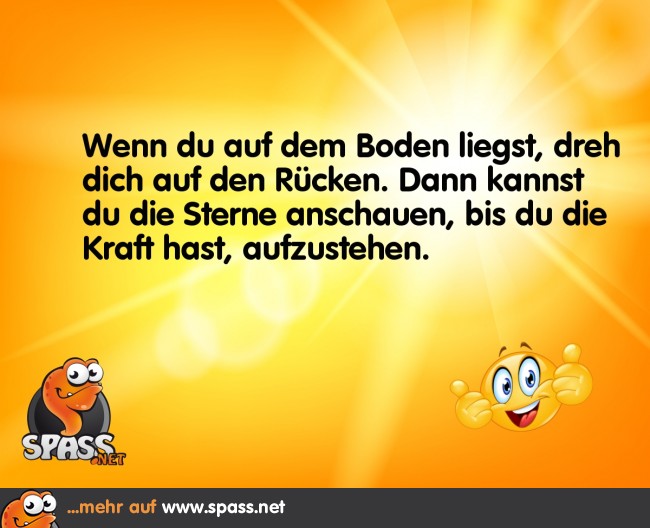 Genieße die Sterne Lustige Bilder auf