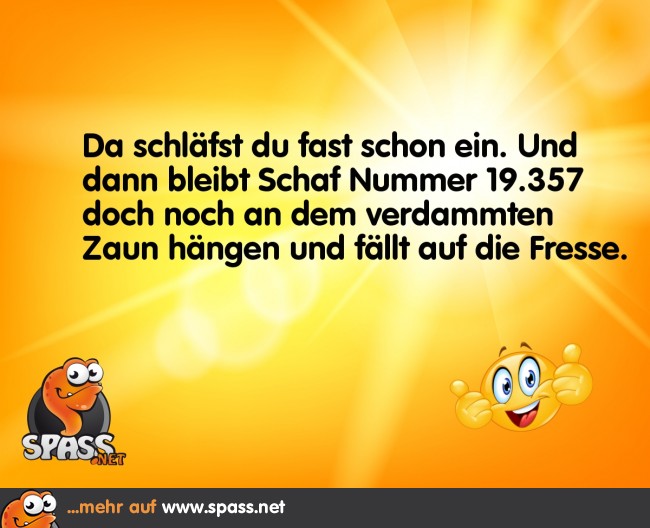 Blöder Zaun Lustige Bilder auf