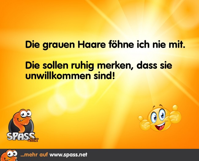 Besser als keine Haare mehr Lustige Bilder auf