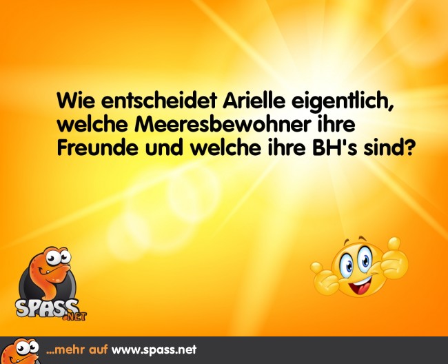 Entscheidungen im Meer Lustige Bilder auf