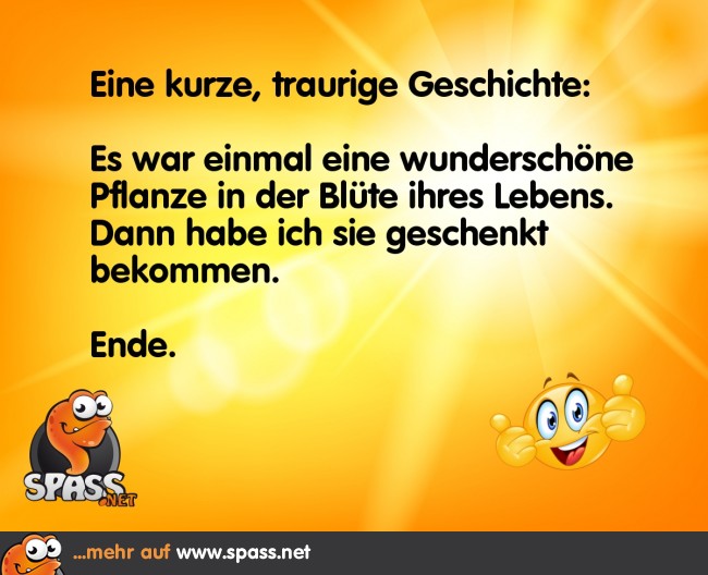Kurzgeschichte Lustige Bilder auf