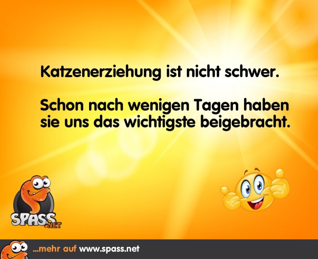 Kleinigkeit Lustige Bilder auf