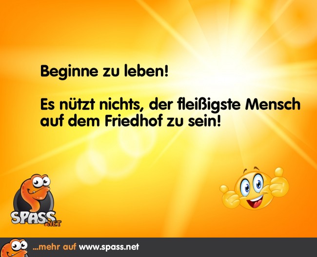 Genieße dein Leben! Lustige Bilder auf