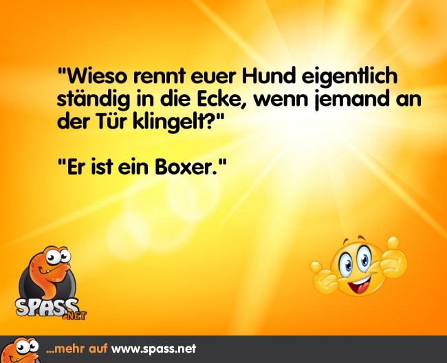In die Ecke Lustige Bilder auf