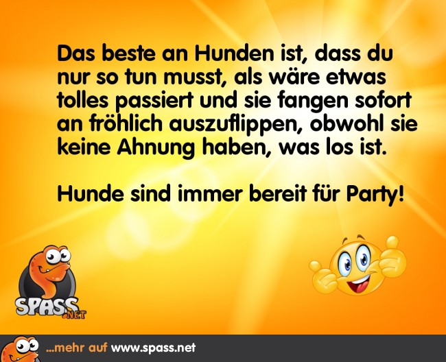 Immer bereit für eine Party Lustige Bilder auf