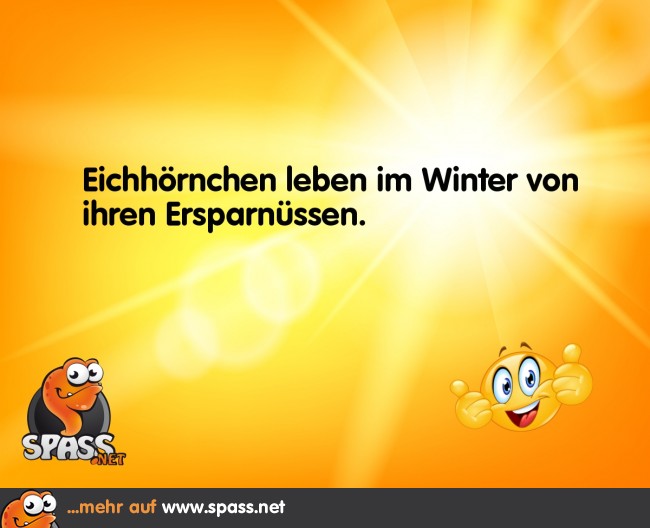 Nüsse gespart Lustige Bilder auf