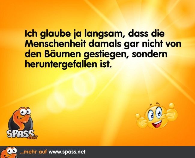 Und manche direkt auf den Kopf Lustige Bilder auf