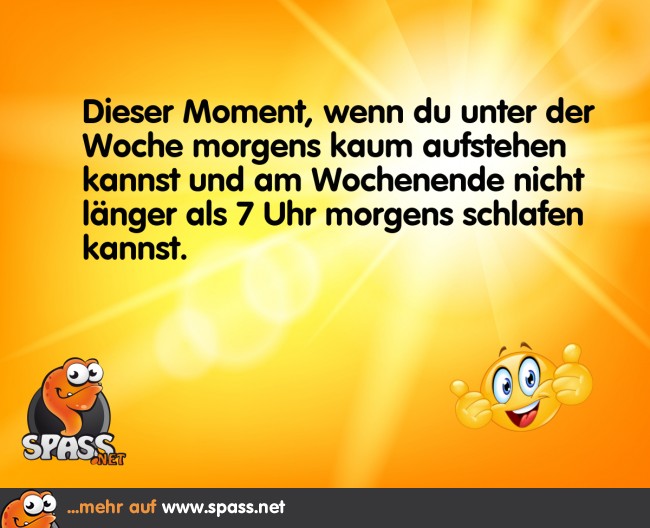 Wenn man mal ausschlafen könnte… Lustige Bilder auf
