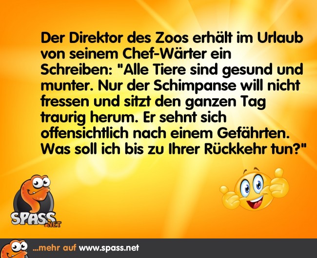 Die Rückkehr des Gefährten Lustige Bilder auf