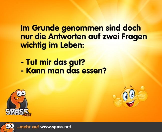 Nur zwei Fragen sind wichtig Lustige Bilder auf
