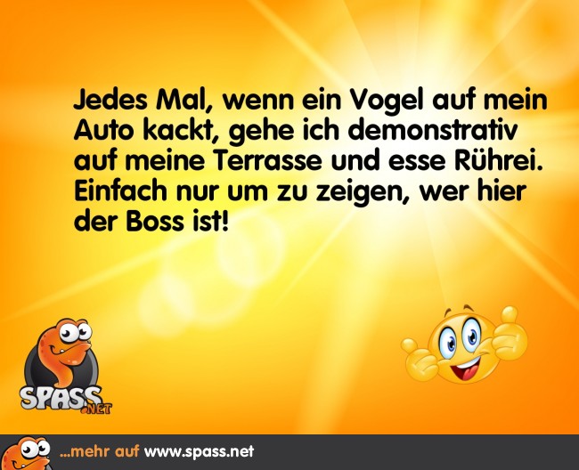 I’m the Boss Lustige Bilder auf