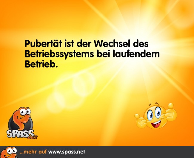 Deshalb dauert’s auch… Lustige Bilder auf