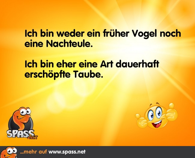 Sehr müde Taube Lustige Bilder auf