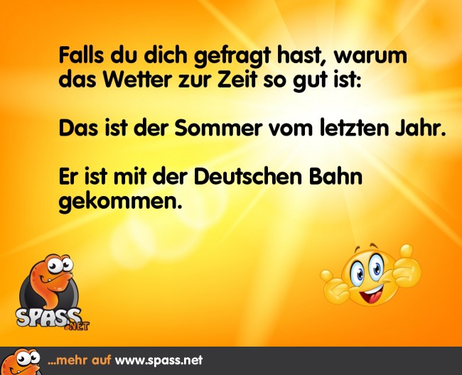 Der Sommer ist endlich da! Lustige Bilder auf