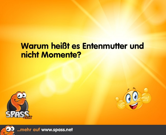 Momente Lustige Bilder auf