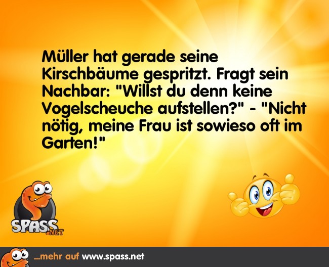 Unnötige Investition Lustige Bilder auf