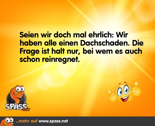 Der größte Dachschaden Lustige Bilder auf