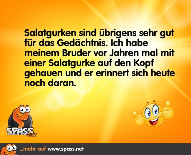Gut für’s Gedächtnis Lustige Bilder auf