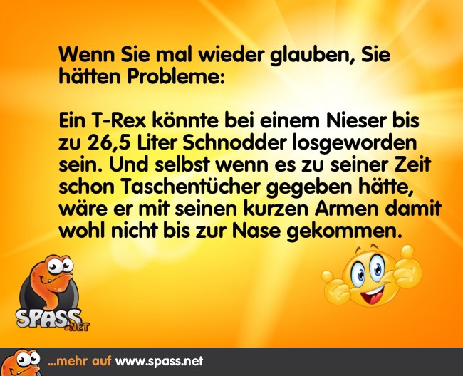 Das waren wirkliche Probleme Lustige Bilder auf