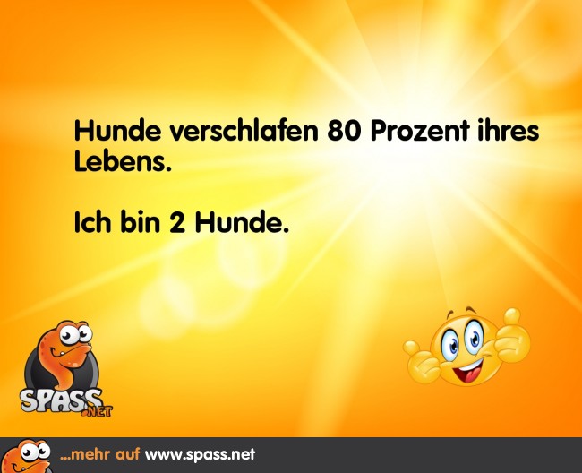 Das Leben verschlafen Lustige Bilder auf
