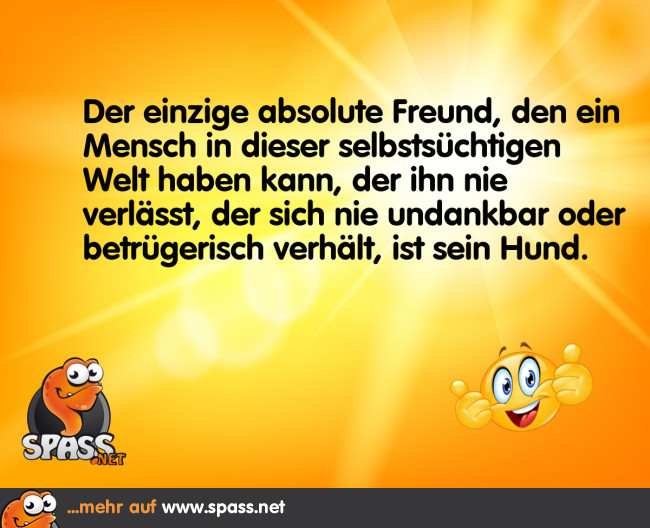 Ein absolut treuer Freund Lustige Bilder auf