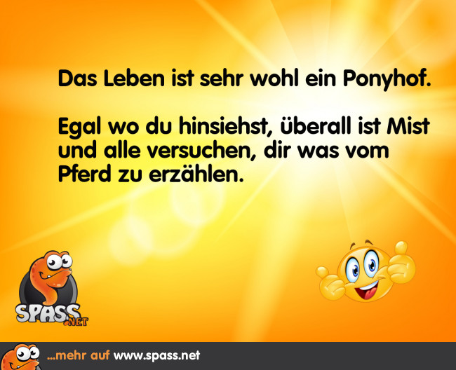 Das Leben ist ein Ponyhof Lustige Bilder auf