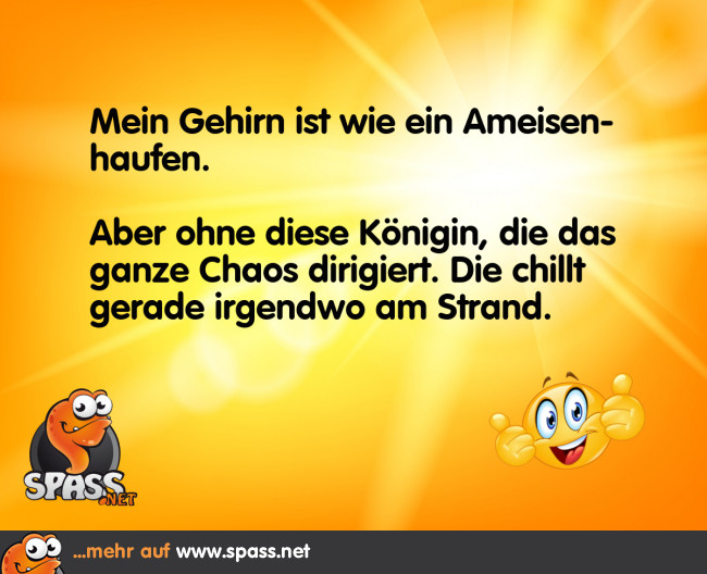 Chaos ohne Dirigentin Lustige Bilder auf