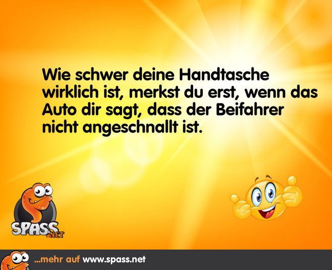 Bitte anschnallen! Lustige Bilder auf