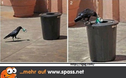 Umweltbewusster Rabe Lustige Bilder auf