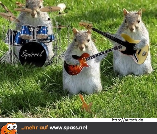 Die Band Lustige Bilder auf