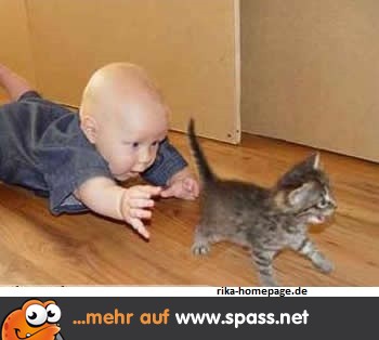 Baby will Katze fangen