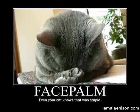 Katze Facepalm