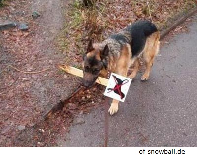 Hund mit Verbotsschild im Maul