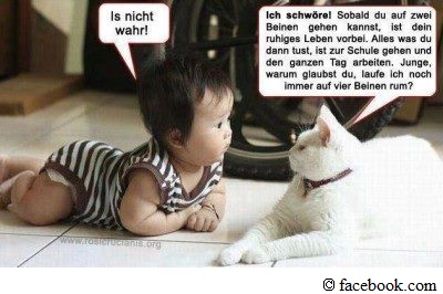 Katze mit Baby