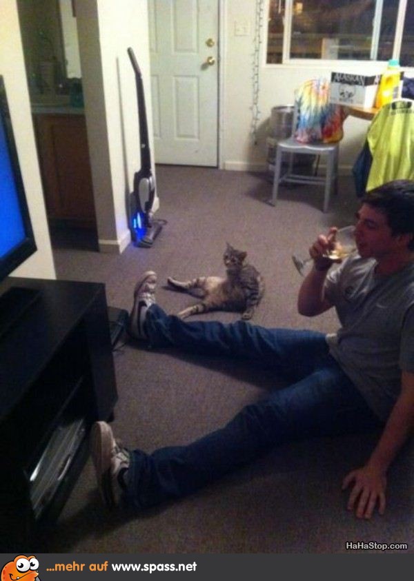Couchpatato