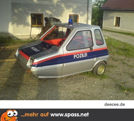 Schnelle Eingreiftruppe