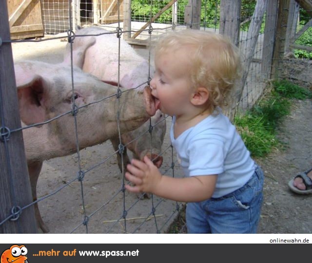 Schwein gehabt