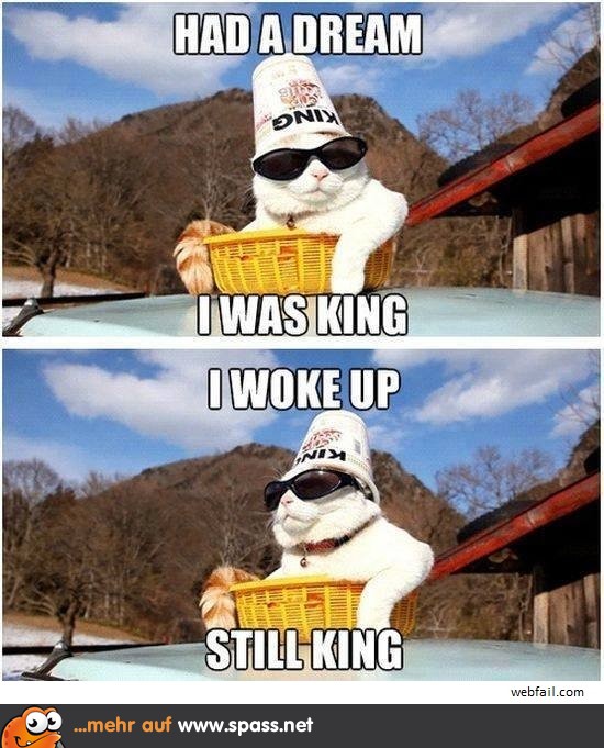 King Cat