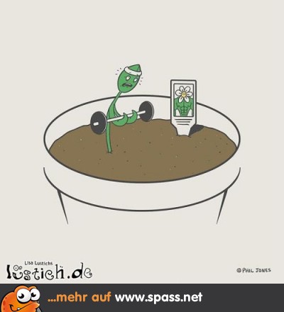 Von nichts kommt nichts