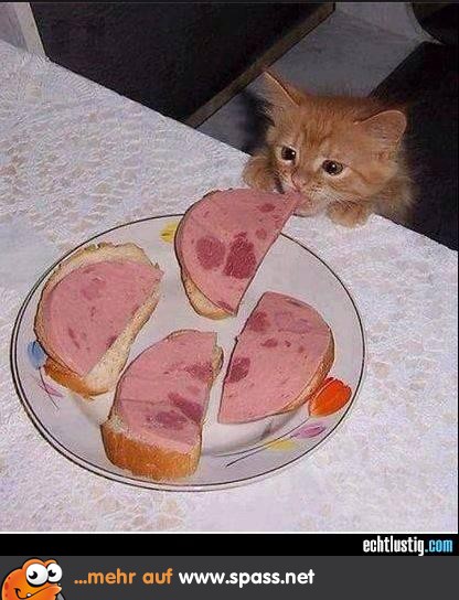 Wurstbrot