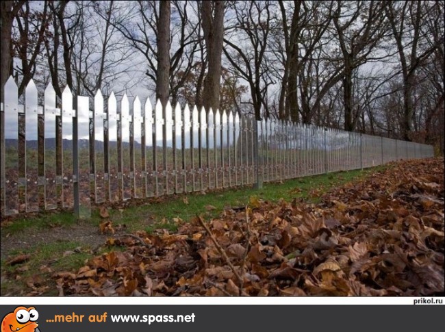 Reflektierender Gartenzaun