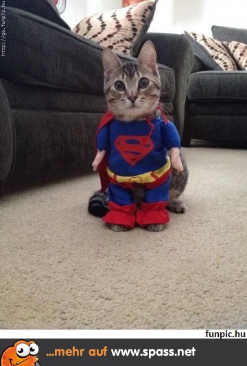 Supercat