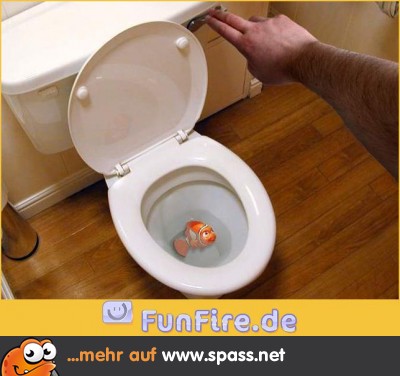 Findet Nemo