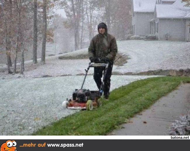 Im Winter wächst das Gras doch auch, oder?