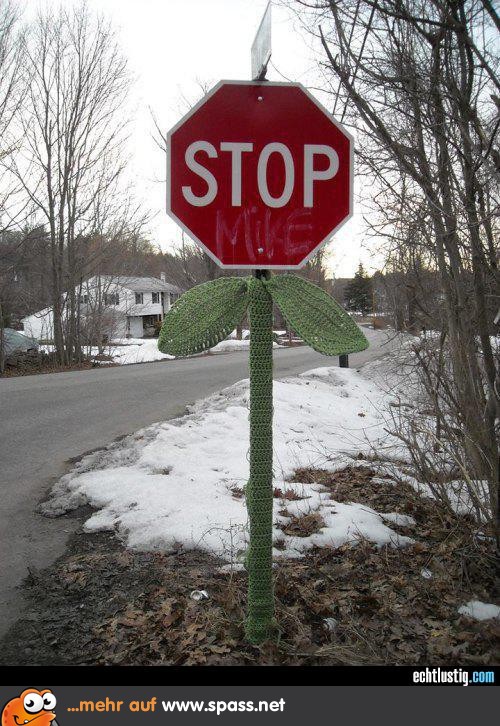 Stop-Blume