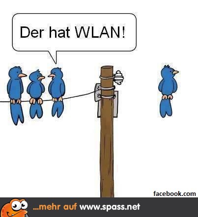 WLAN