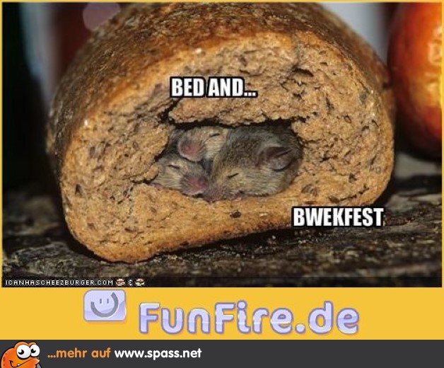 Bed and Breakfast