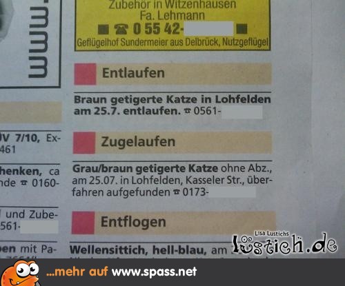 Gesucht und gefunden