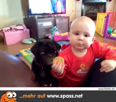 Was, nur ein Keks?!