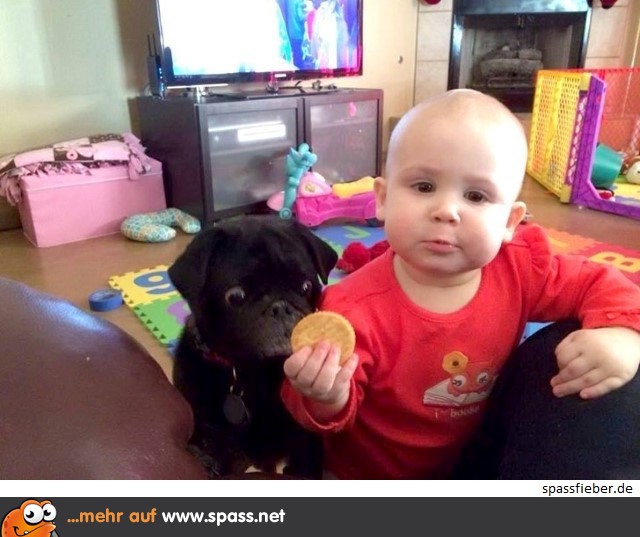 Was, nur ein Keks?!